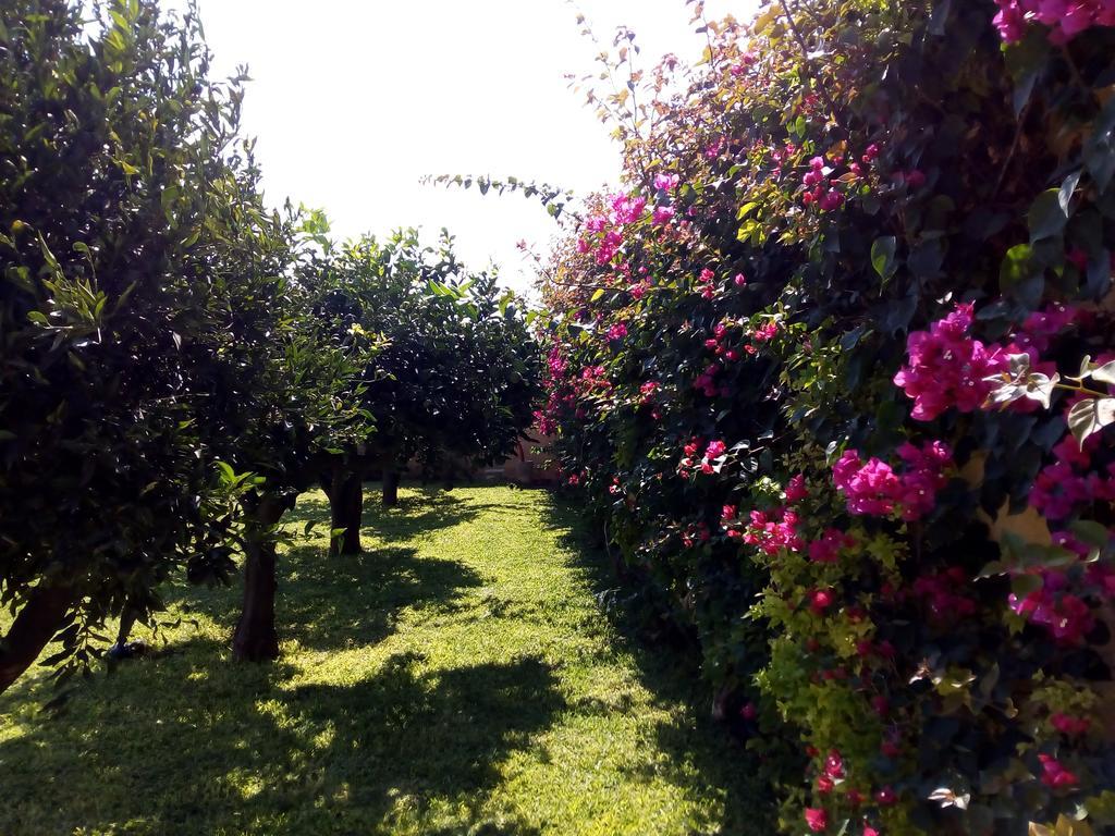 Baglio Olivastro Bed & Breakfast Digerbato Luaran gambar